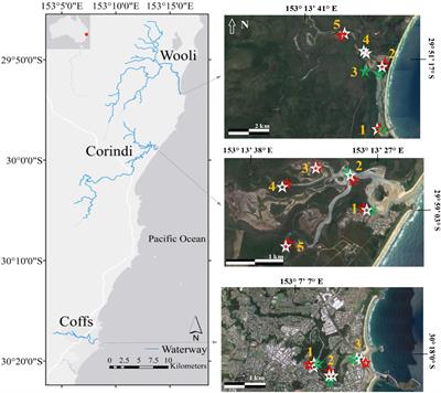 Does Regional Development Influence Sedimentary Blue Carbon Stocks? A Case Study From Three Australian Estuaries